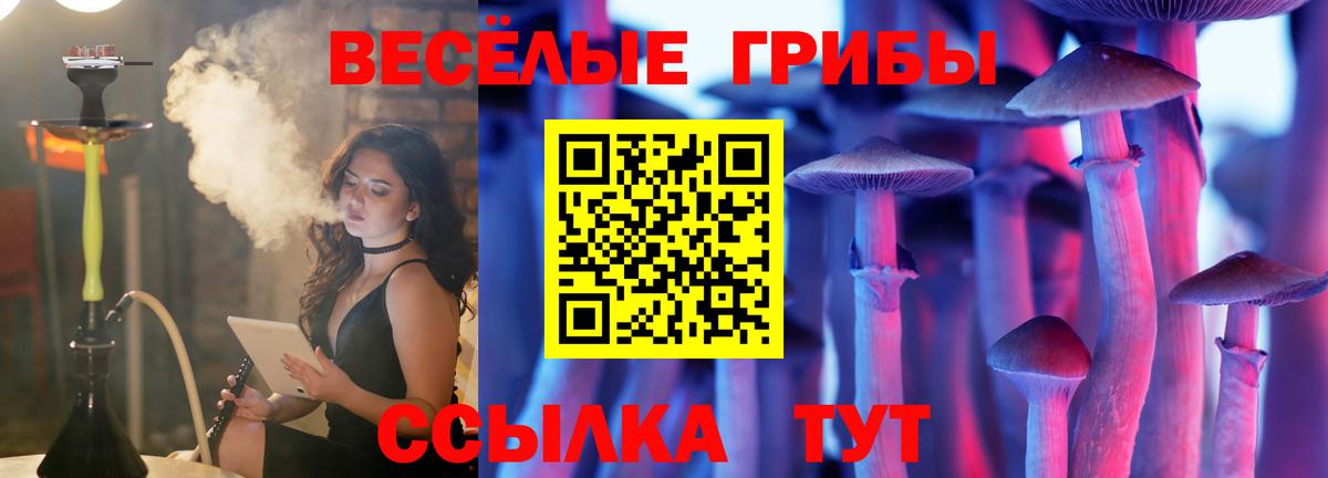 Псилоцибиновые грибы Magic Shrooms Прохладный